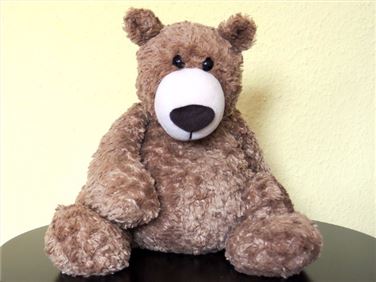 Abbildung: Lieber Teddybär sucht neuen Besitzer
